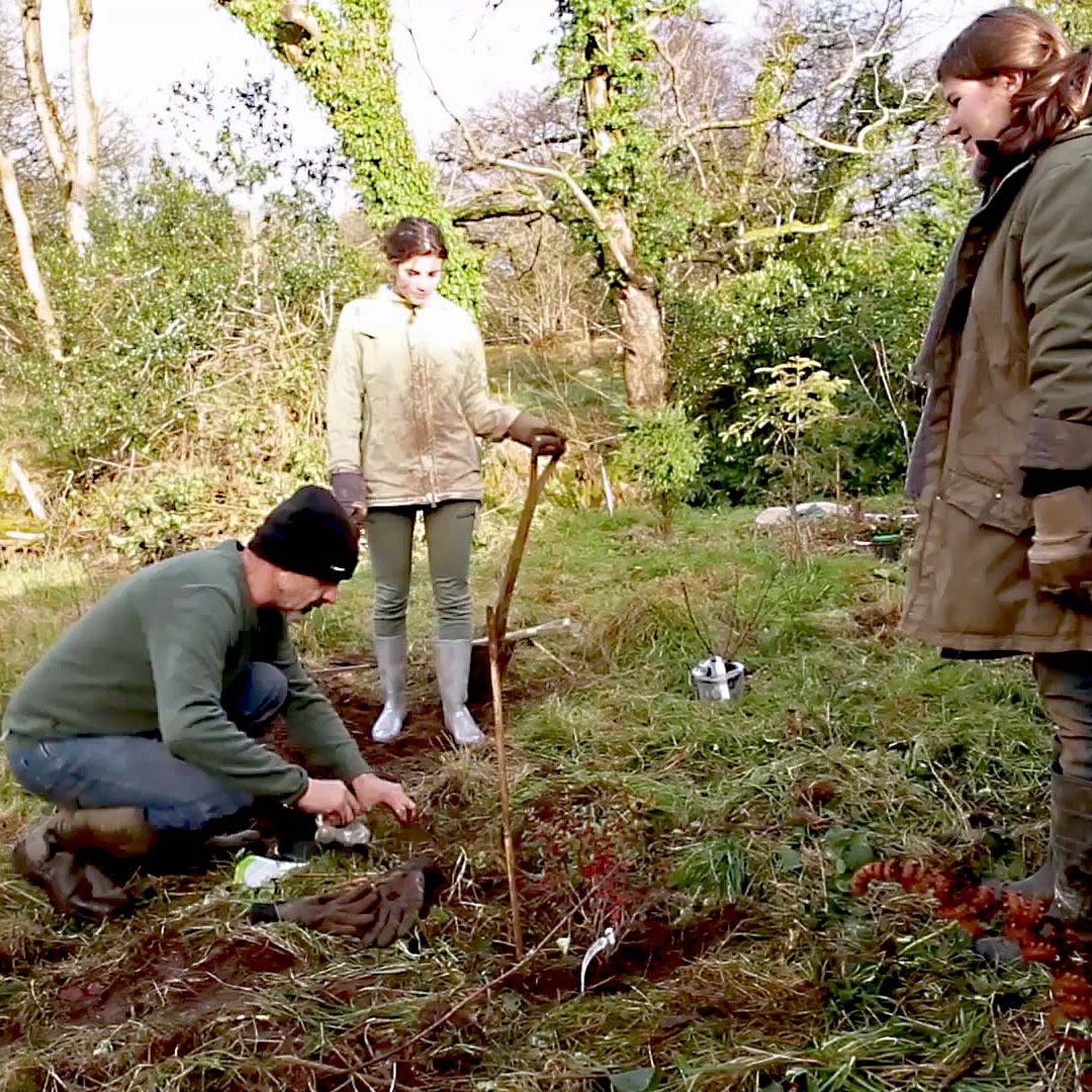 Arwen Sanctuary