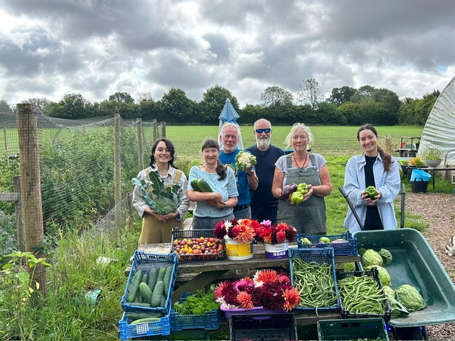 happy volunteers with abundant veg for our weekly boxes